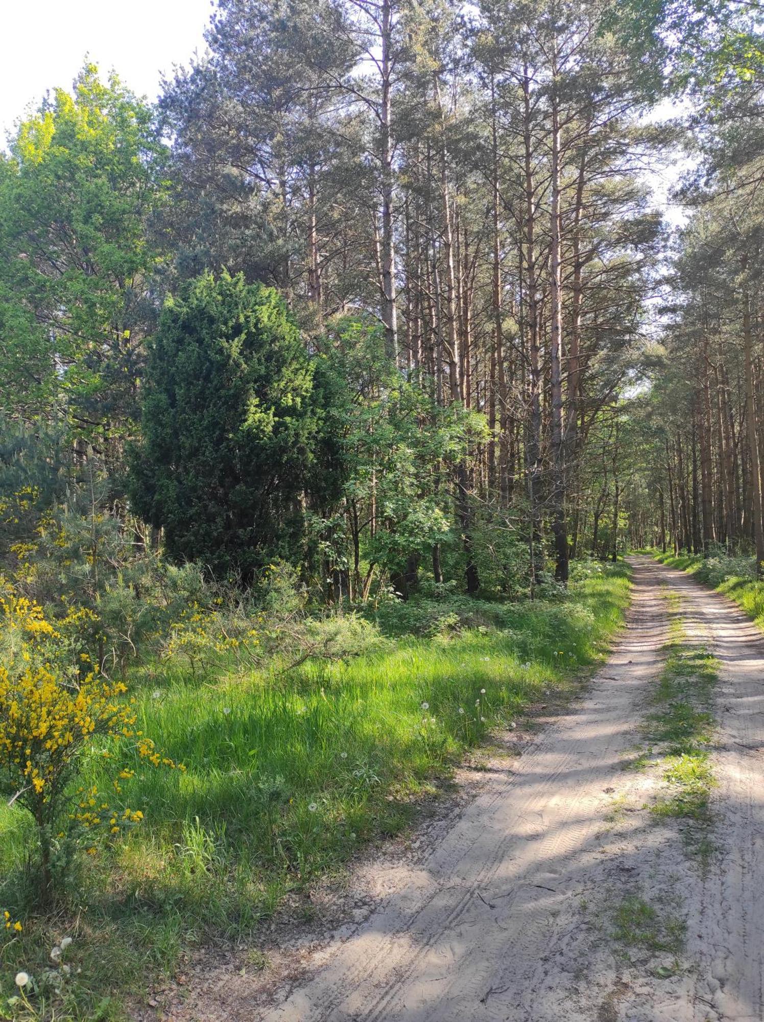 Na Jastrzebiej Ferienhaus